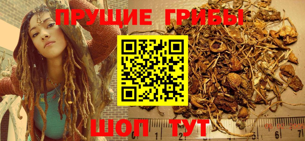 Псилоцибиновые грибы Psilocybe Семилуки